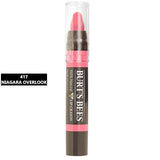 Burts Bees Natural Lip Crayon 417 Niagara Overlook 